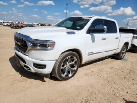 2020 RAM 1500 Limit 5.7L 8 Kategoria C