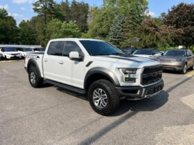 Ford F-150 RAPTOR 2017 | 4×4 | V6 EcoBoost | USA | Kat. C | Off-road bestia!